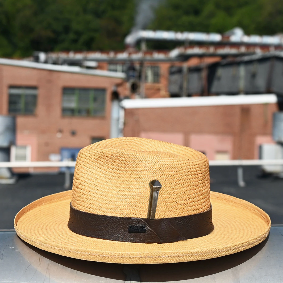 Limited Edition - Hebden - Image 8