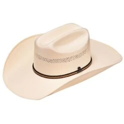 Ariat 10X Straw Cowboy Hat - Hazer