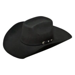 Ariat Added Money 2X Black Wool Cowboy Hat