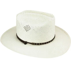 Wind River® Dalhart